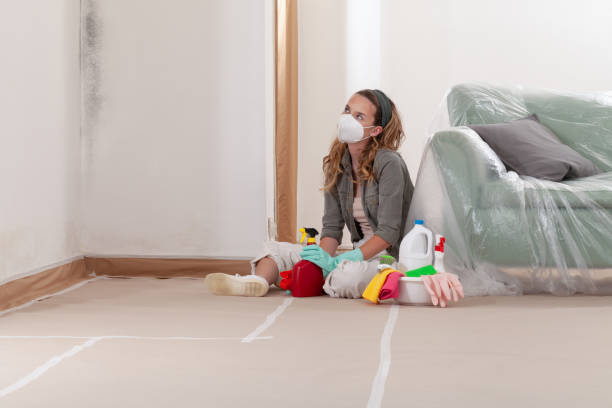 Reliable Mold Removal contractor in Flower Mound, TX by WQB Mold Removal